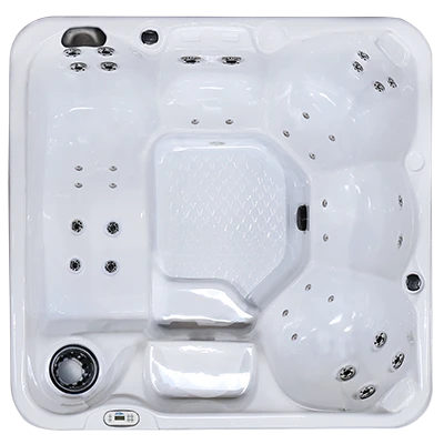 Hawaiian PZ-636L hot tubs for sale in Delano